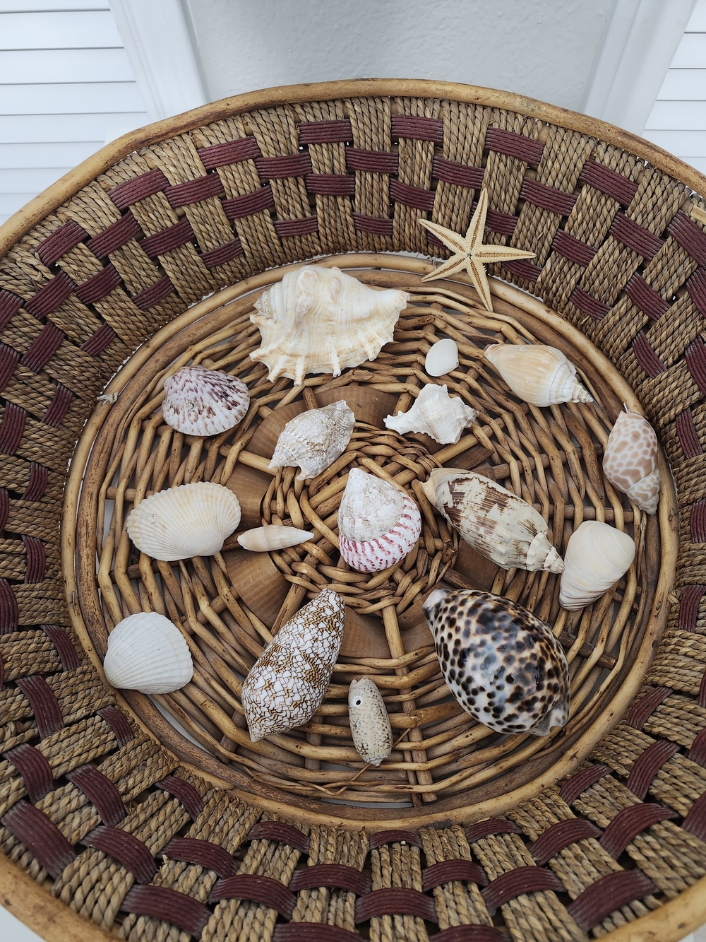 Natural Brown Woven Basket with Decorative Sea Shells